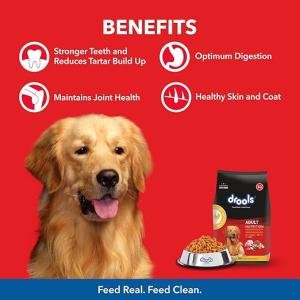 Drools Chicken and Egg Adult Dry Dog Food, 20kg