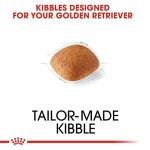 Royal Canin Golden Retriver Adult Pellet Dog Food, Meat Flavour, 3 KG,Pack of 1