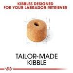 Royal Canin Adult Labrador Meat Flavour Pellet Dog Food, 3 kg