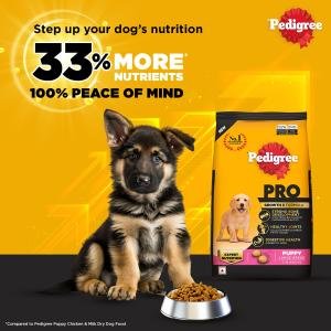 Pedigree PRO Adult Large Breed, 10 kg Dry Dog Food, Vet Trusted Brand, Expert Nutrition, Quality Protein, 33% More Nutrients (18 Months Onwards)