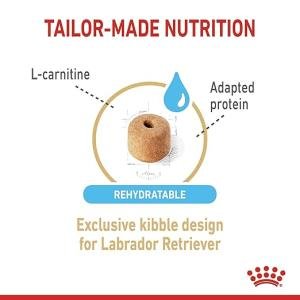 Royal Canin Dog Labrador Dry Retriever 5+ Adult, 3000 G