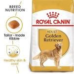 Royal Canin Golden Retriver Adult Pellet Dog Food, Meat Flavour, 3 KG,Pack of 1