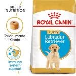 Royal Canin Labrador Retriever Puppy Pellet Dog Food, 1000 g