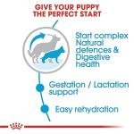 Royal Canin Baby Pellet Dog Food Maxi Starter, Meat, 1 kg