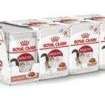 Royal Canin Adult Instinctive Wet Cat Food, Fish, 85 g (12 Pack)