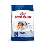 Royal Canin Maxi Adult Pellet Dog Food, Chicken, 4 kg,Pack of 1
