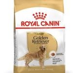 Royal Canin Golden Retriver Adult Pellet Dog Food, Meat Flavour, 3 KG,Pack of 1