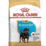Royal Canin Rottweiler Junior Pellet Dog Food, Variety Flavor, 3 Kg,Pack of 1