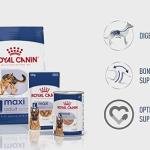 Royal Canin Maxi Adult Pellet Dog Food, Chicken, 4 kg,Pack of 1