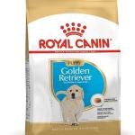Royal Canin Golden Retriver Junior Pellet Dog Food, Meat Flavor, 3 Kg,Pack of 1