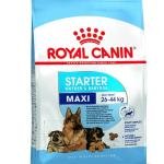 Royal Canin Baby Pellet Dog Food Maxi Starter, Meat, 1 kg