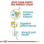 Royal Canin German Shepherd Puppy Dry Pellet Dog Food, Chicken, 3 Kg