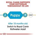 Royal Canin Rottweiler Junior Pellet Dog Food, Variety Flavor, 3 Kg,Pack of 1