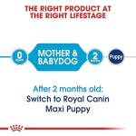 Royal Canin Baby Pellet Dog Food Maxi Starter, Meat, 1 kg