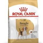 Royal Canin Pellet Beagle Adult Dog Food, Meat Flavour, 3 KG,Pack of 1