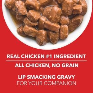 Drools Adult Wet Dog Food, Real Chicken And Chicken Liver Chunks In Gravy, 15 Pouches (15 X 150G), 1 Count