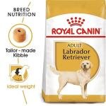 Royal Canin Adult Labrador Meat Flavour Pellet Dog Food, 3 kg