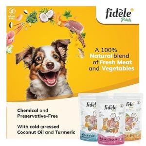 Fidele+ Wet Dog Meal Topper – Fresh Fish with Vegetables, 100g Pouch Pack of 12 | Grain-Free, Natural Enhancer for Kibble, Soft Food for Fussy Pets, No Preservatives